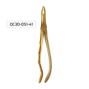 30 pc Dental Kit