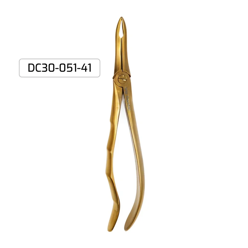 30 pc Dental Kit