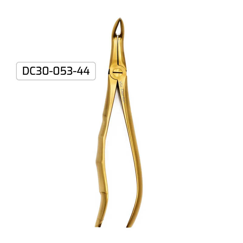 30 pc Dental Kit