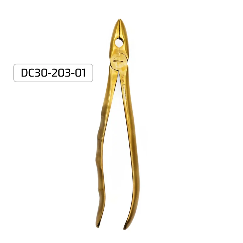 30 pc Dental Kit