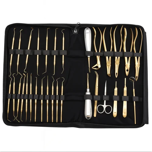 30 pc Dental Kit