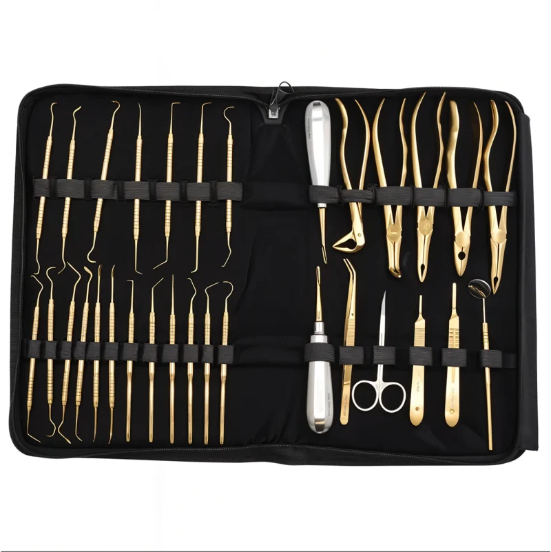 30 pc Dental Kit