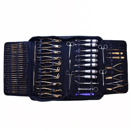 60 pc Dental Kit