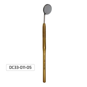 30 pc Dental Kit